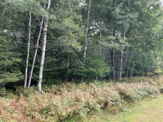 Lot 8 Hermosa Lane Hayward WI 54843