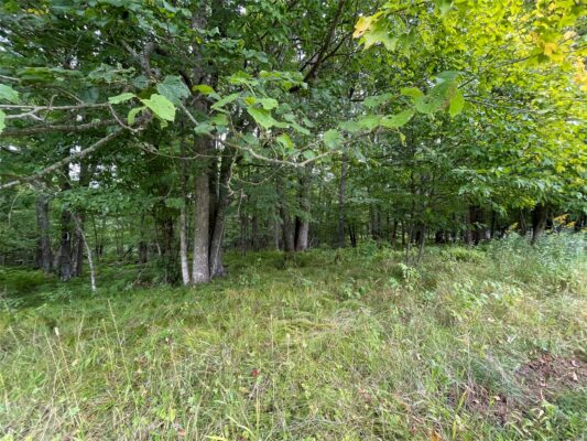 Lot 9 Hermosa Lane Hayward WI 54843