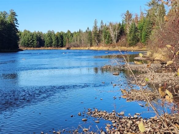 N13275 N Fork Road, Park Falls, WI