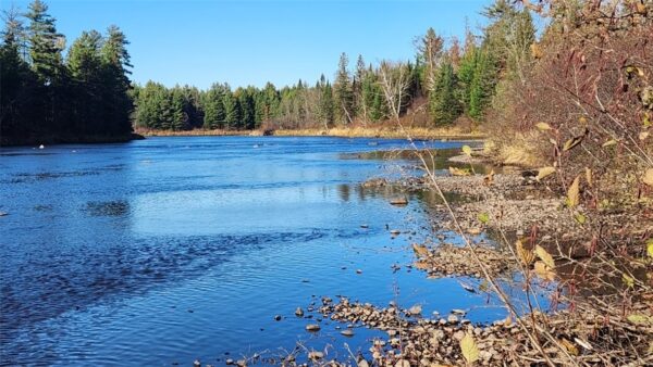 N13275 N Fork Road, Park Falls, WI