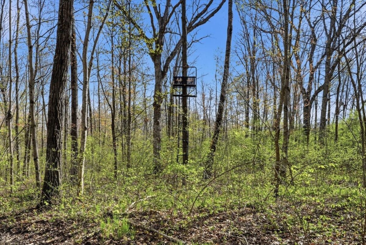 N1520 Hollow Road, Stanley WI 54768 - Residential house for sale - MLS #1600765 - image38
