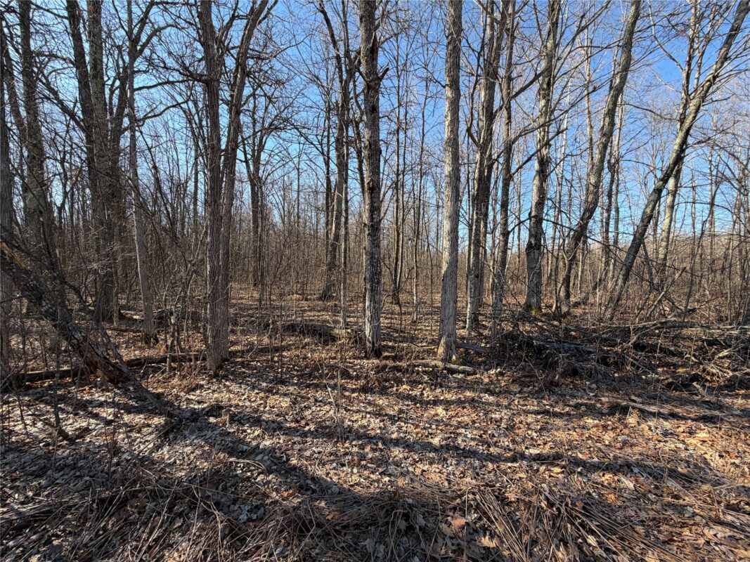 N5009 Degenaar Drive, Spooner, WI — photo 14