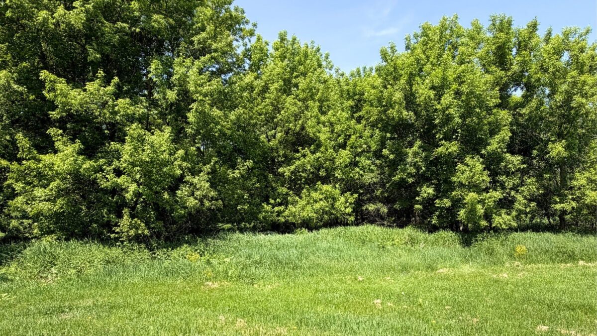 N8511 County Road K, Boyceville WI 54725 - Residential house for sale - MLS #1601681 - image16