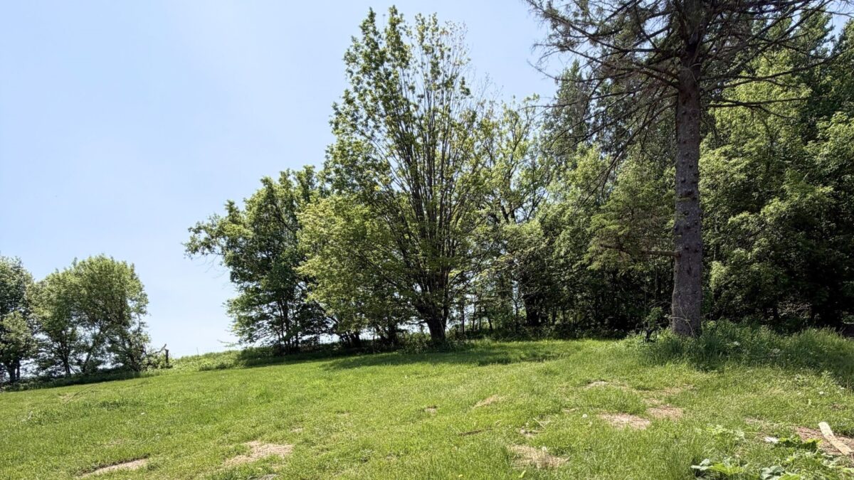 N8511 County Road K, Boyceville WI 54725 - Residential house for sale - MLS #1601681 - image17