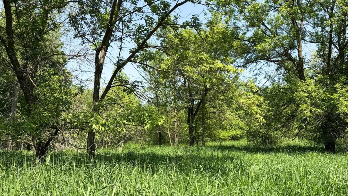 N8511 County Road K, Boyceville WI 54725 - Residential house for sale - MLS #1601681 - image18