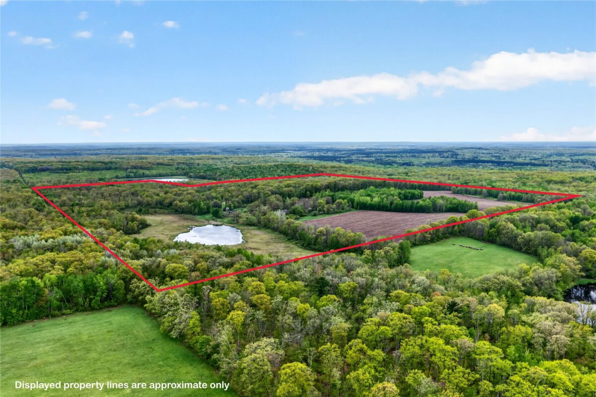 N8771 Fye Road, Trego WI 54888 - Residential house for sale - MLS #1601563 - image3