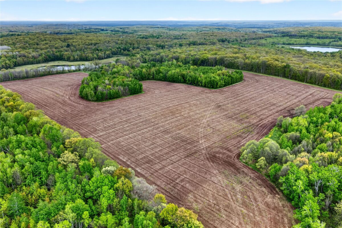 N8771 Fye Road, Trego WI 54888 - Residential house for sale - MLS #1601563 - image25