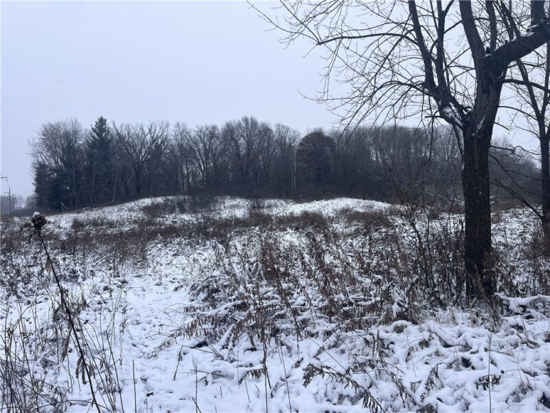 TBD Cty Line Avenue