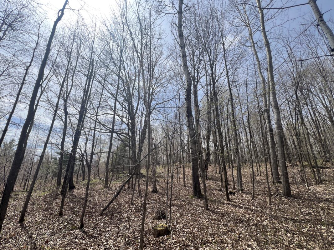 TBD Golf Course Road, High Bridge, WI — photo 21