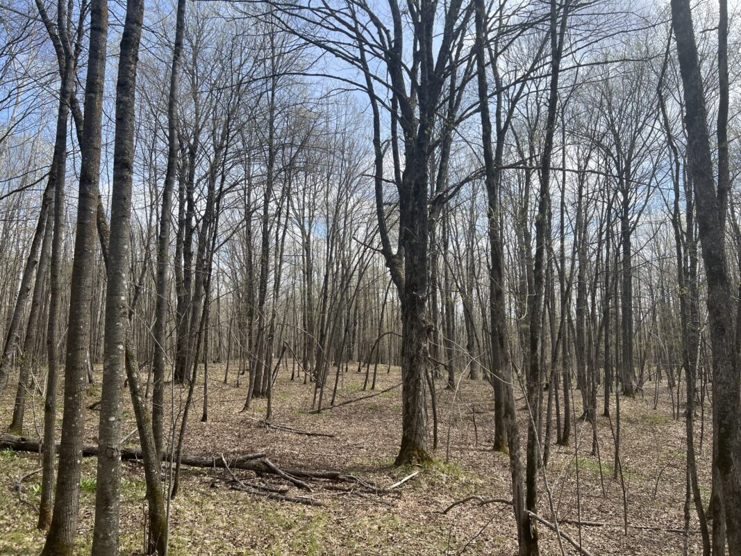 TBD Golf Course Road, High Bridge, WI — photo 23