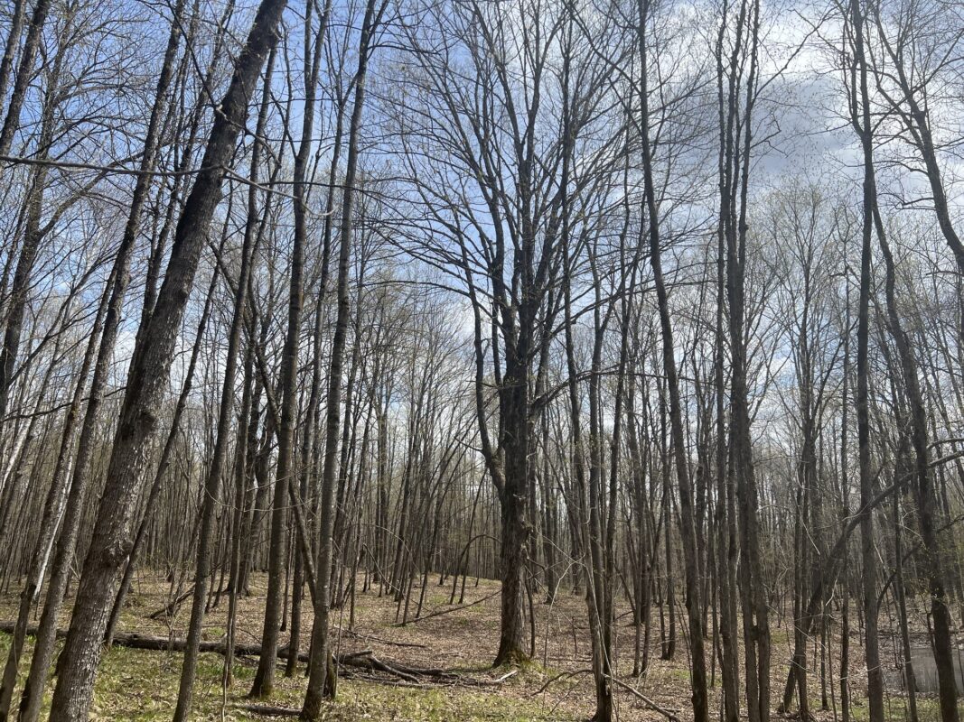 TBD Golf Course Road, High Bridge, WI — photo 24