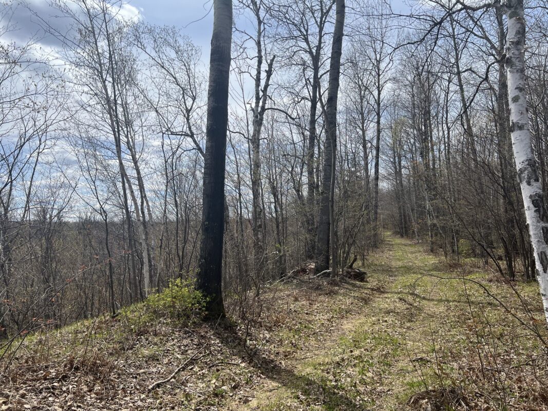 TBD Golf Course Road, High Bridge, WI — photo 7
