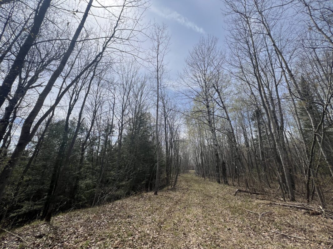TBD Golf Course Road, High Bridge, WI — photo 8