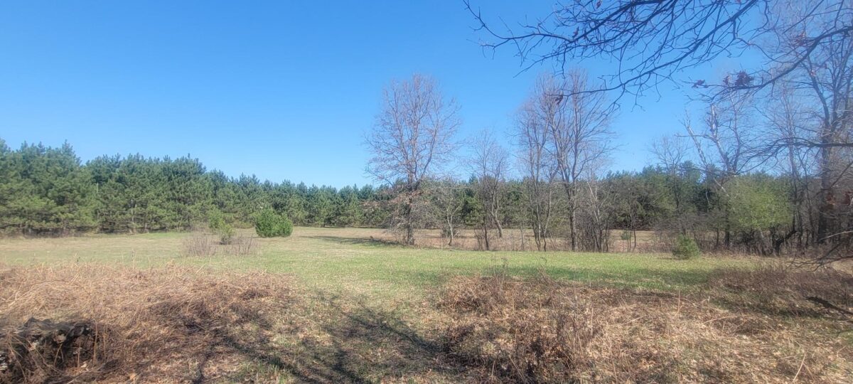 W14103 County P Highway, Taylor WI 54659 - Land house for sale - MLS #1600415 - image14