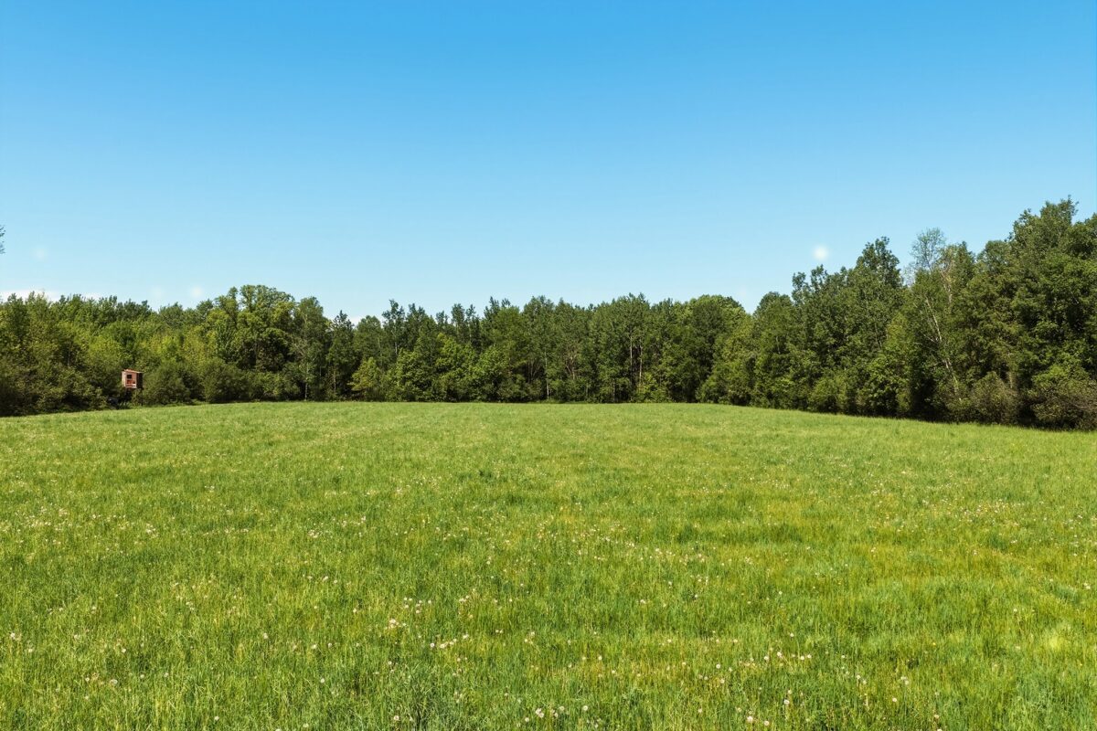 W6062 County Road X, Withee WI 54498 - Residential house for sale - MLS #1601545 - image35