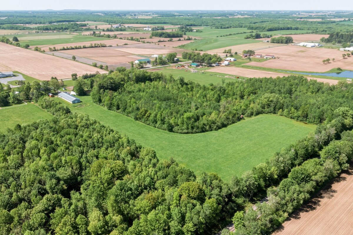 W6062 County Road X, Withee WI 54498 - Residential house for sale - MLS #1601545 - image42