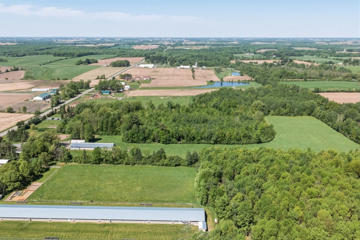 W6062 County Road X, Withee WI 54498 - Residential house for sale - MLS #1601545 - image43