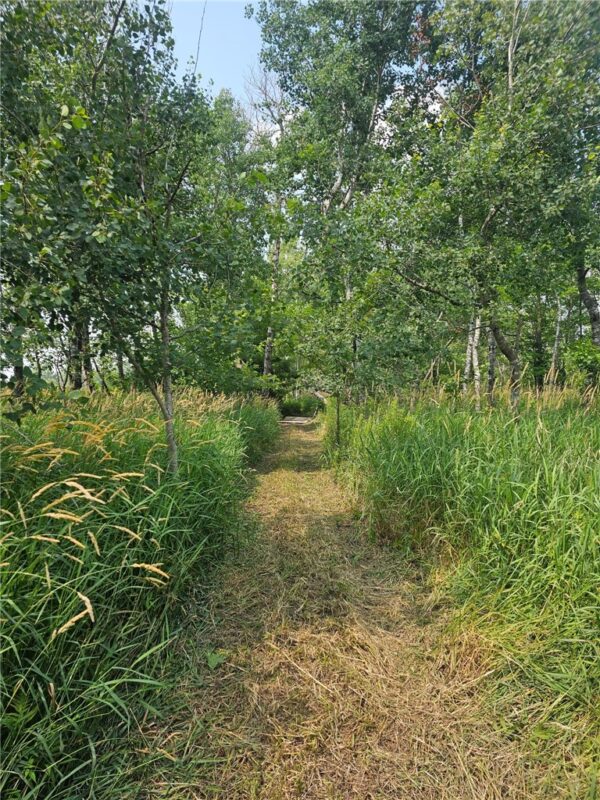 W6914 Sunset Lane, Phillips, WI — photo 12