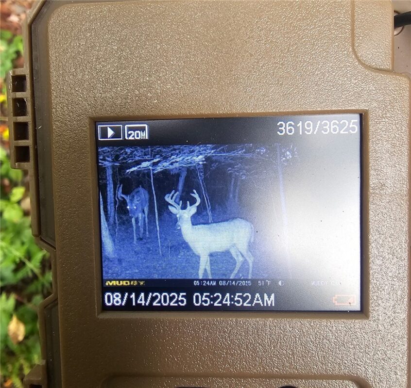 W6914 Sunset Lane, Phillips, WI — photo 7