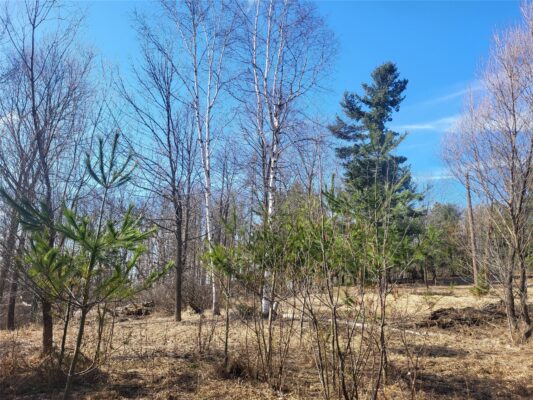 W7482 30th Avenue, Barronett WI — $29,000