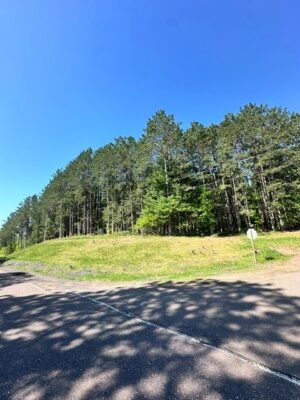 W8303 Christensen Rd  Trego WI 54888