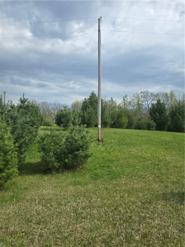 XXX 29 1/2 Avenue, Barronett, WI — photo 7