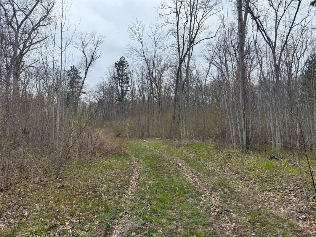 XXX Foss Lane, Spooner, WI — photo 11