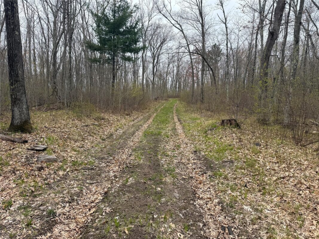 XXX Foss Lane, Spooner, WI — photo 3