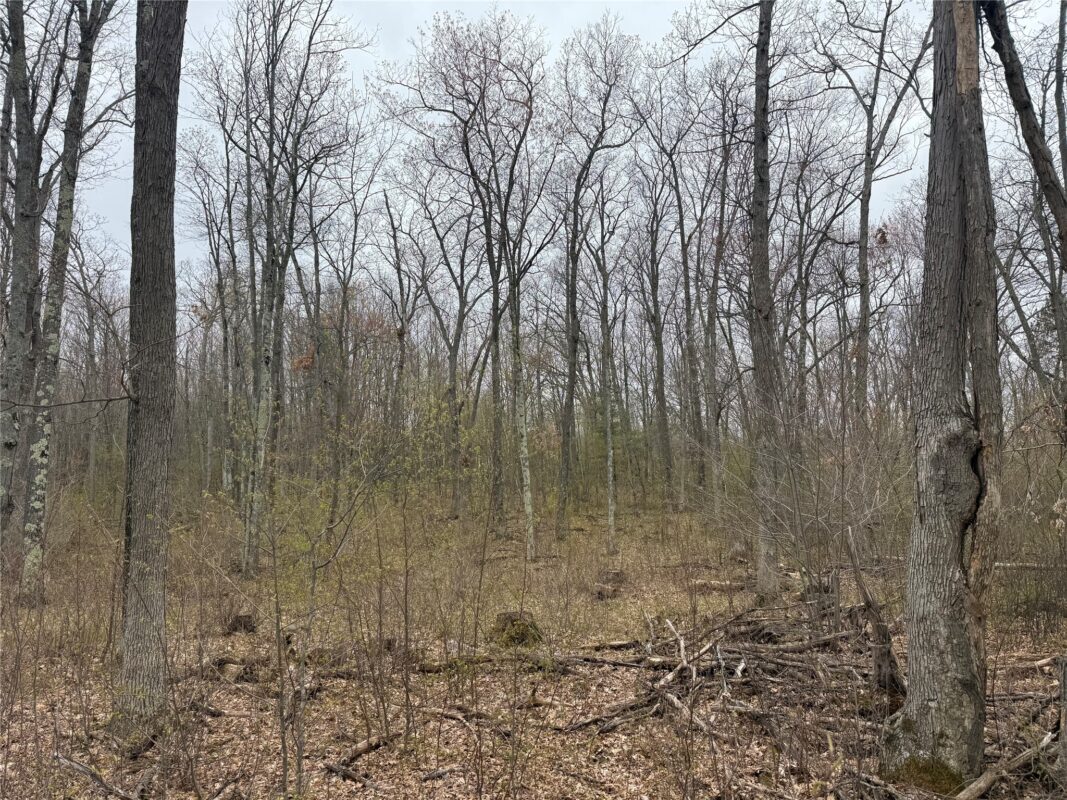 XXX Foss Lane, Spooner, WI — photo 5
