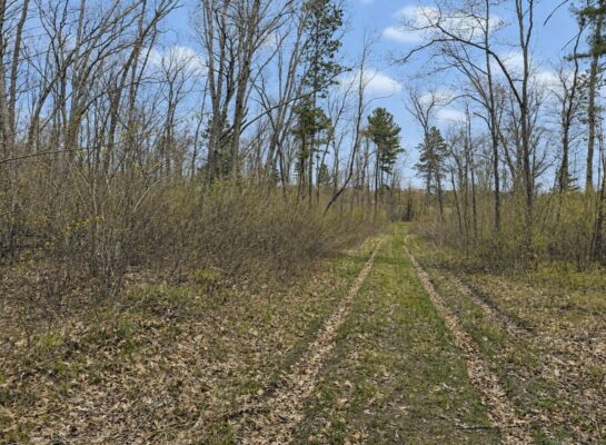 XXX Foss Lane, Spooner WI — $75,000