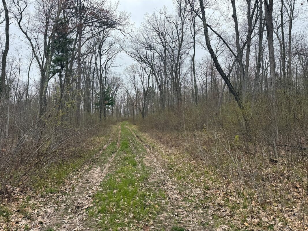 XXX Foss Lane, Spooner, WI — photo 7