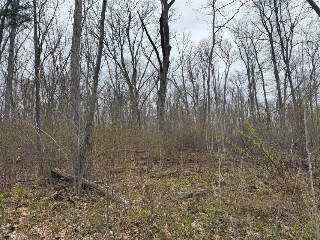 XXX Foss Lane, Spooner, WI — photo 8
