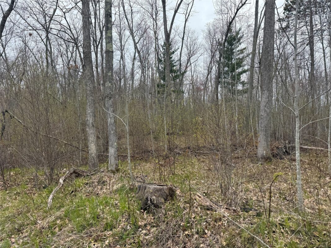 XXX Foss Lane, Spooner, WI — photo 9