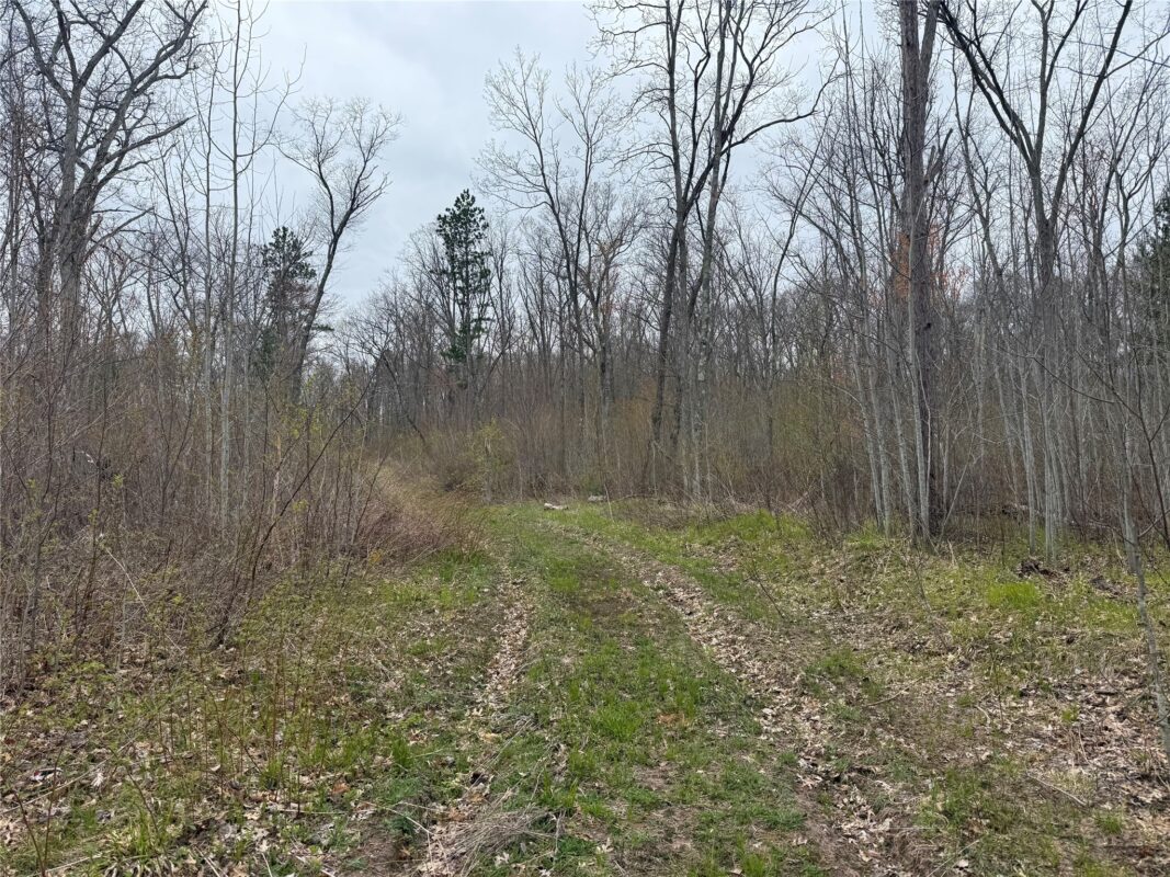 XXX Foss Lane, Spooner, WI — photo 10