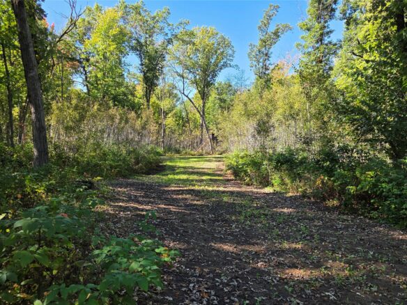 XXX Herrick Road, Siren WI — $550,000