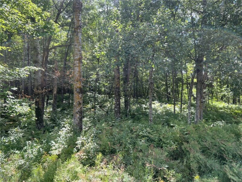 XXXX County Road B 