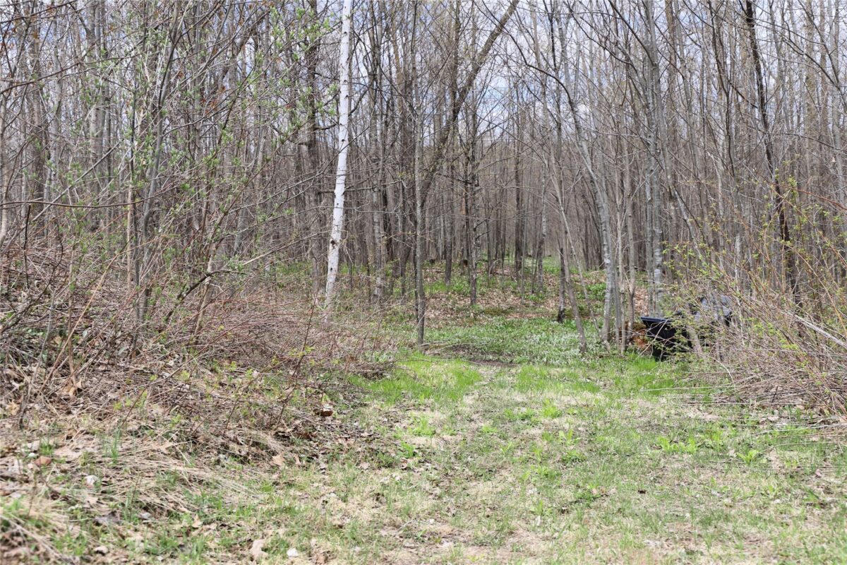 0000 West Eckel Lane, Exeland, WI