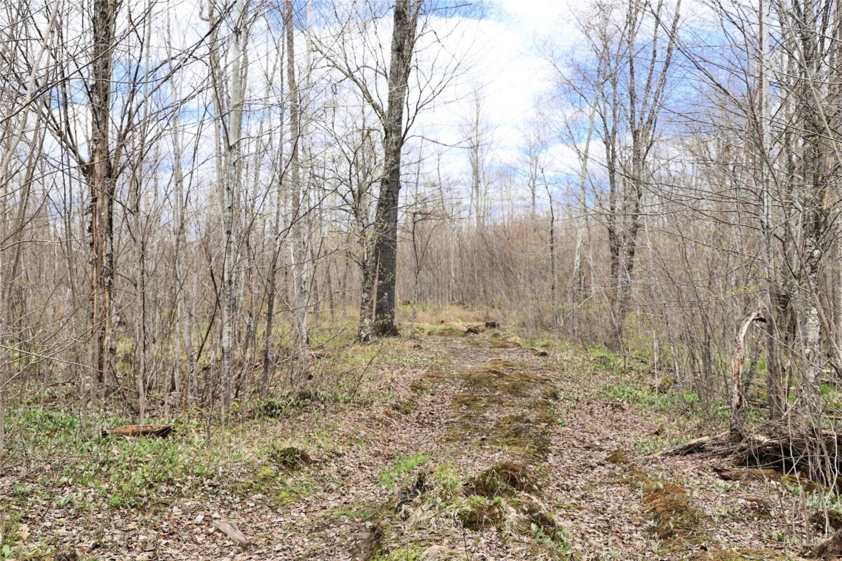 0000 West Eckel Lane, Exeland, WI