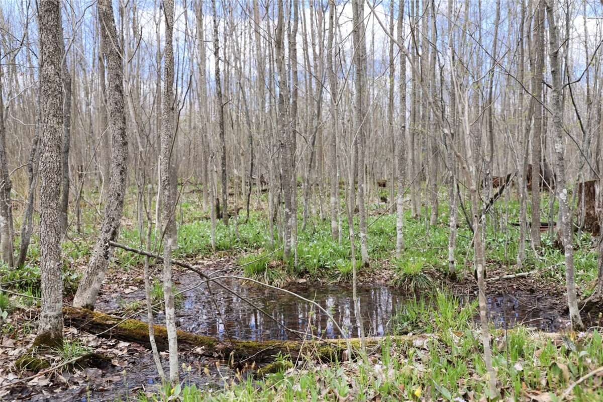 0000 West Eckel Lane, Exeland, WI