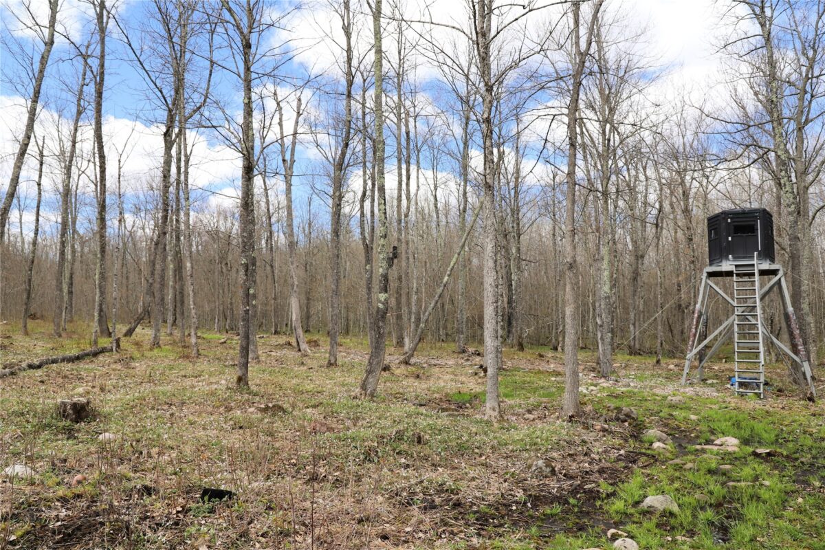 0000 West Eckel Lane, Exeland, WI