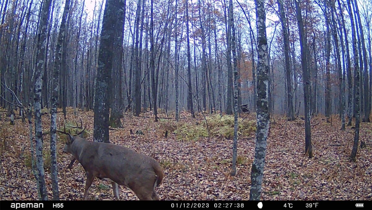 0000 West Eckel Lane, Exeland, WI