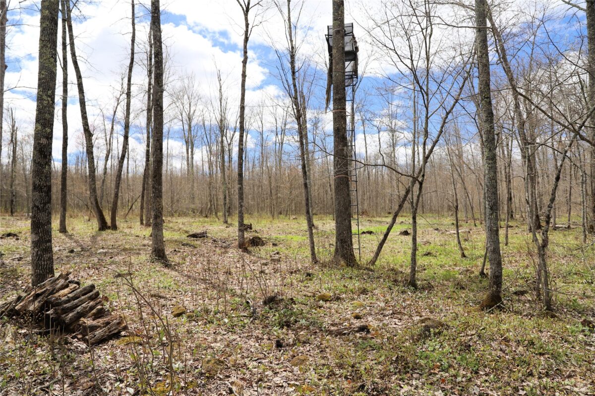 0000 West Eckel Lane, Exeland, WI