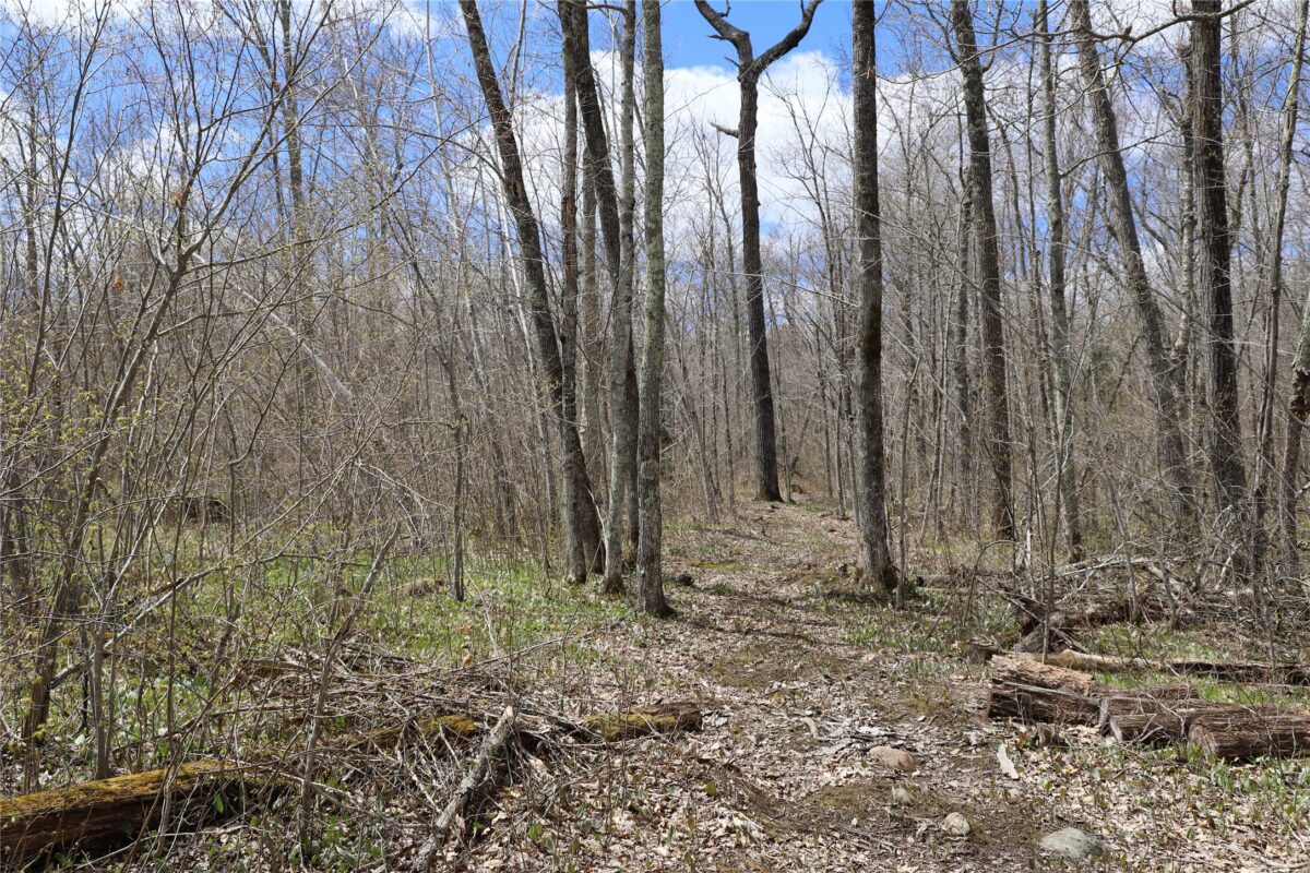 0000 West Eckel Lane, Exeland, WI