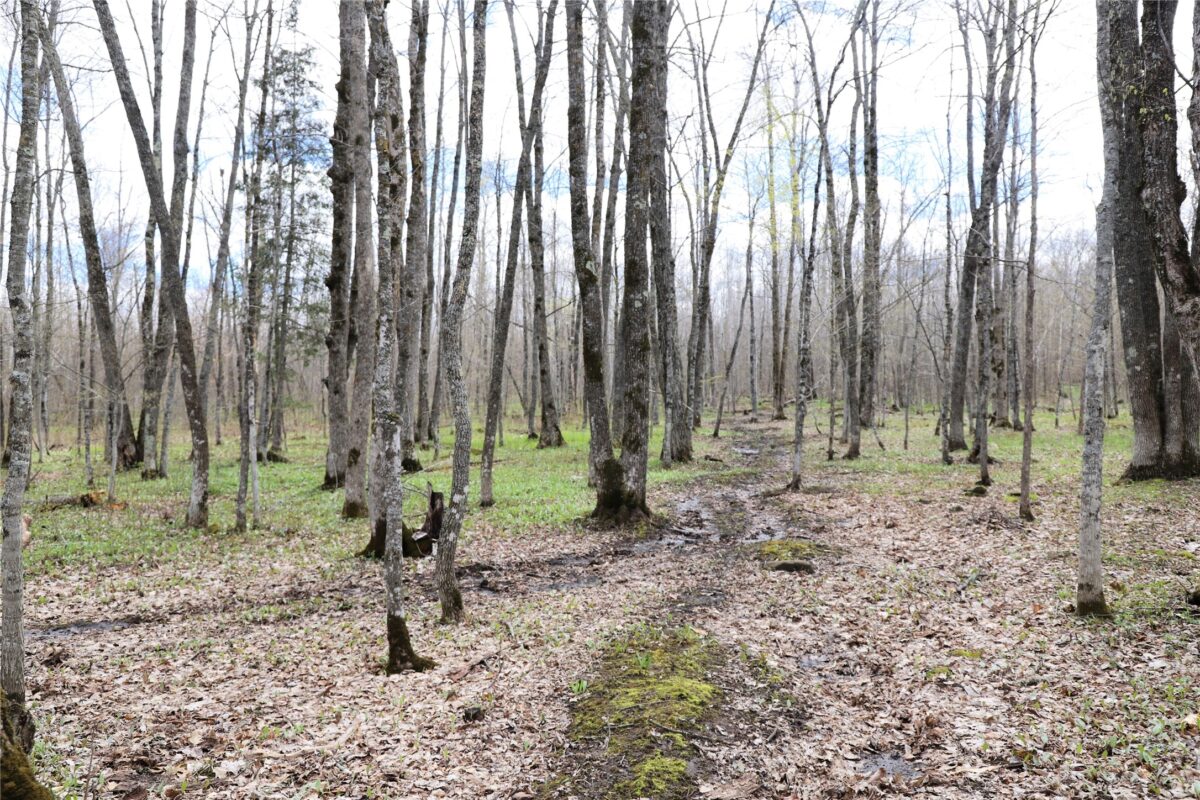 0000 West Eckel Lane, Exeland, WI