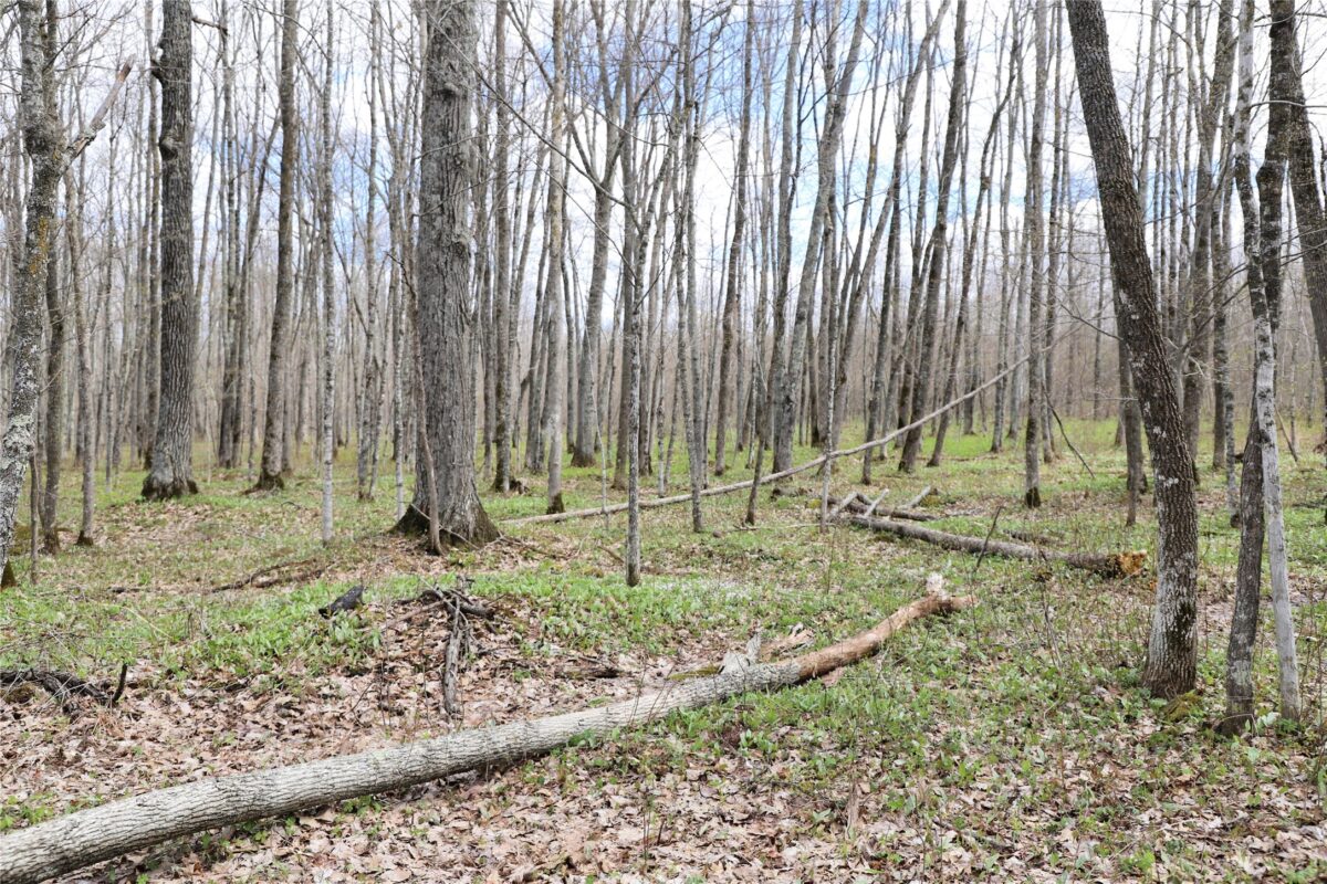 0000 West Eckel Lane, Exeland, WI