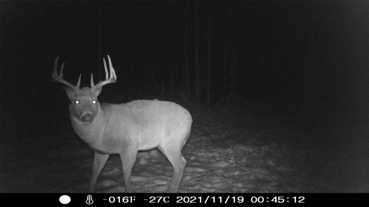 0000 West Eckel Lane, Exeland, WI
