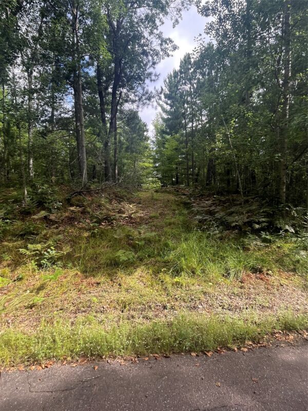 Lot 40 N Bay Drive, Danbury, WI