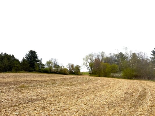74 acres Sand Prairie Rd.  Hixton WI 54635