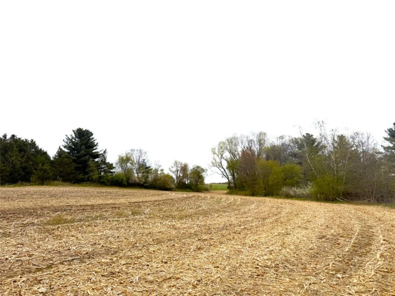 74 acres Sand Prairie Rd. 