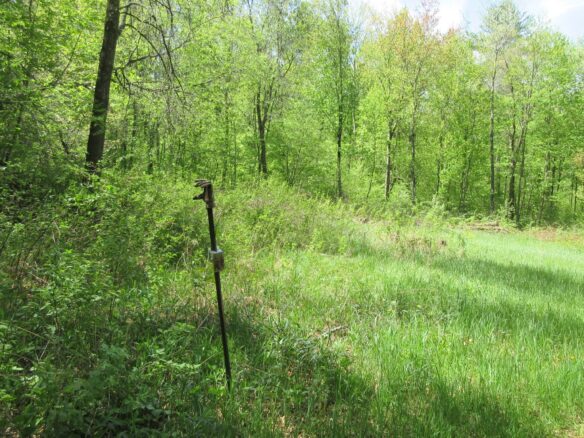 xxx 810th Street, Boyceville WI — $283,500